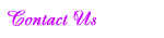 Contact Us