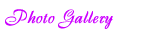 Photo Gallery